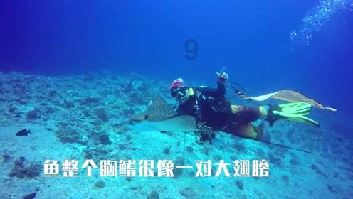 集装箱货运船